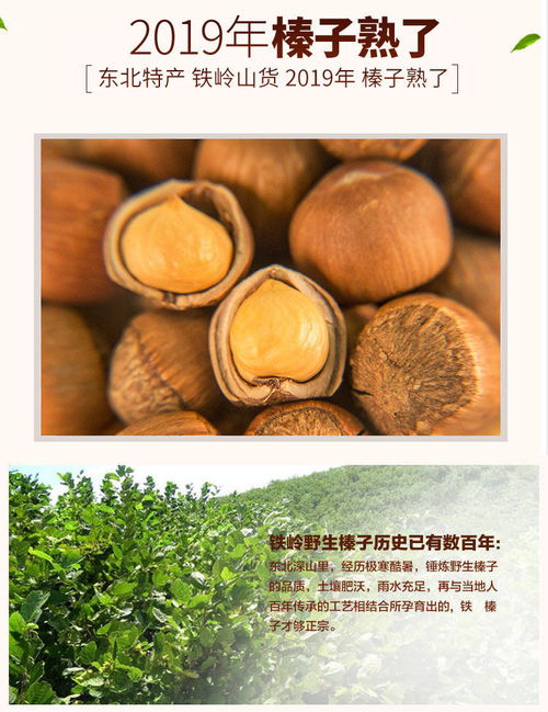 铁岭野生小榛子 源自东北林间的原味臻品