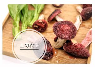 临沧标志性特产 地理标志产品与区域公用品牌的深度解析