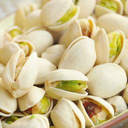 开心果快件进口公司 核桃快件进口手续价格及规格型号