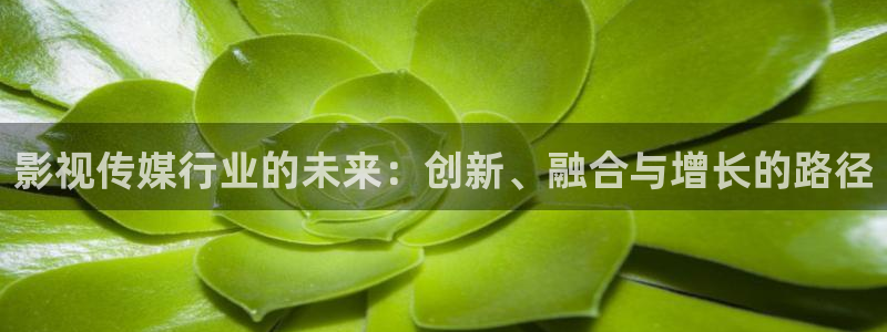 酷客影院看电影：影视传媒行业的未来：创新、融合与增长的路径