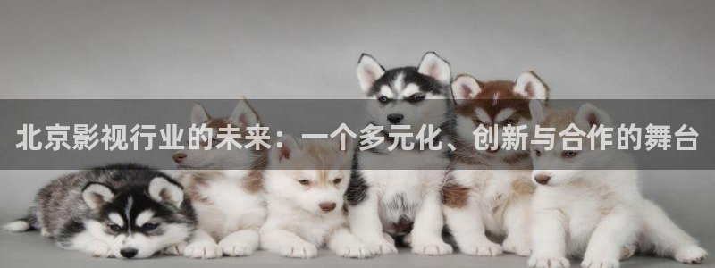 酷客影院交换的一天：北京影视行业的未来：一个多元化、创新与合作的舞台