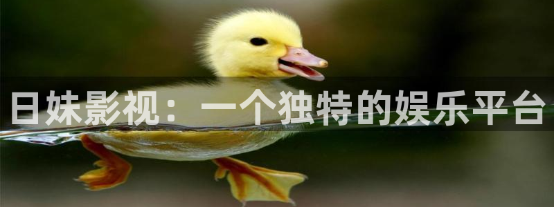 善良的女老板酷客影院：日妹影视：一个独特的娱乐平台