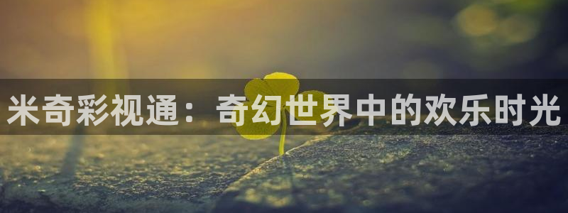 酷客影院在线观看免费