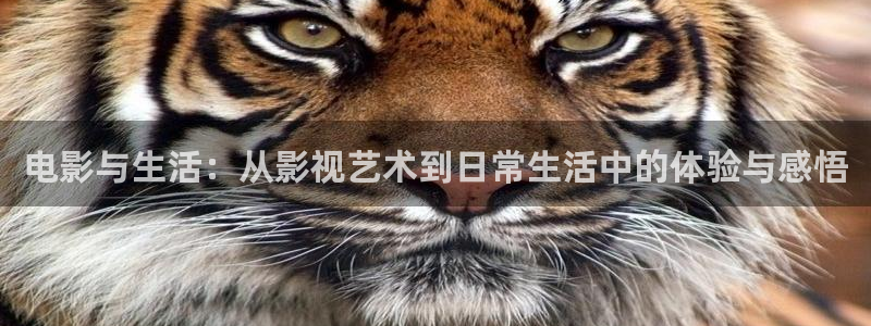 酷客影院免费观看电影