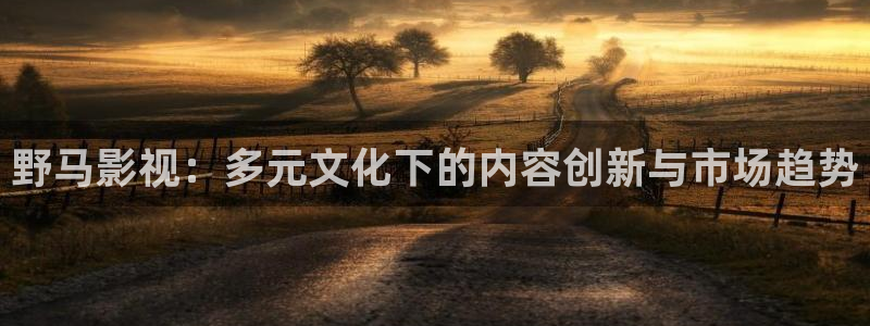 年轻的嫂子酷客影院