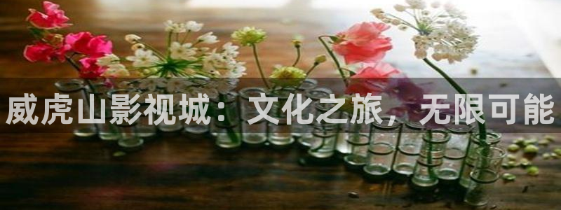 酷客影院app