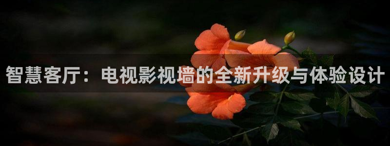 妈妈的朋友酷客影院
