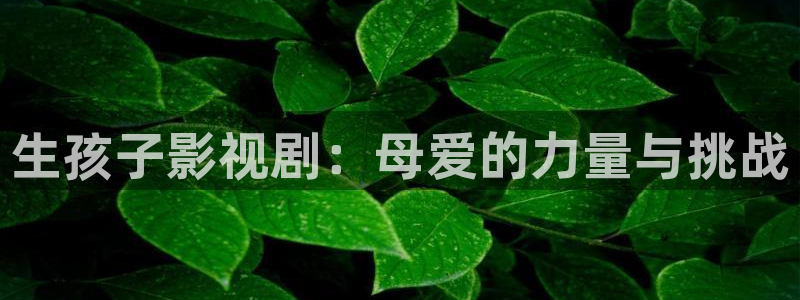 2025酷客影院在线观看免费完整版